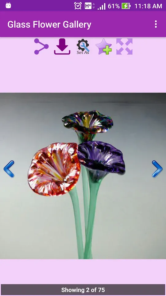 Glass Flower Gallery | Indus Appstore | Screenshot