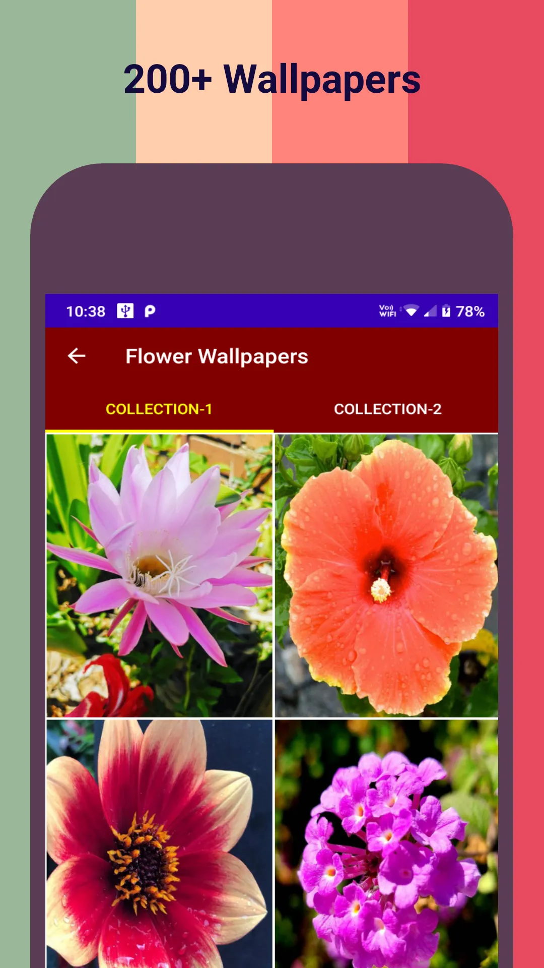 Nature Flower HD Wallpapers | Indus Appstore | Screenshot