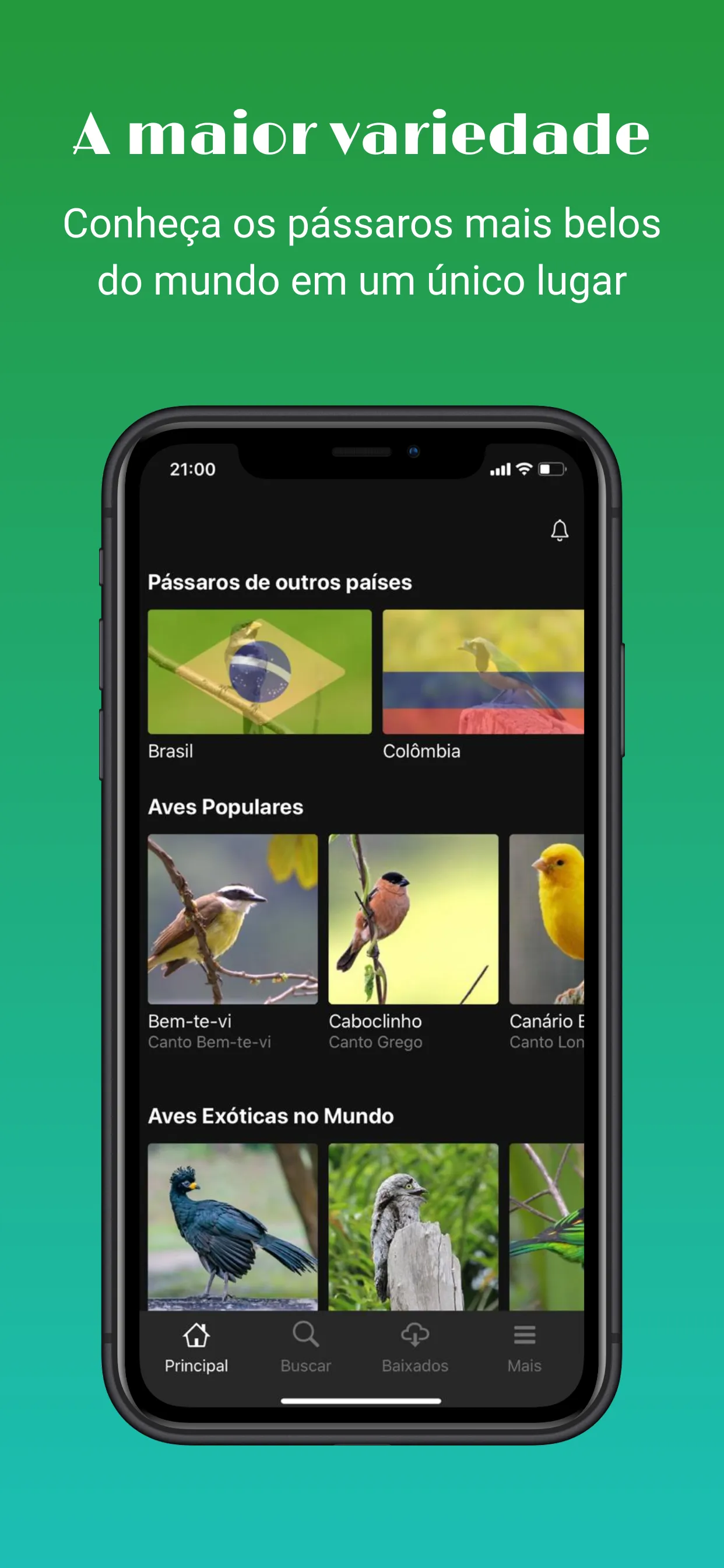 Sounds of birds | Indus Appstore | Screenshot