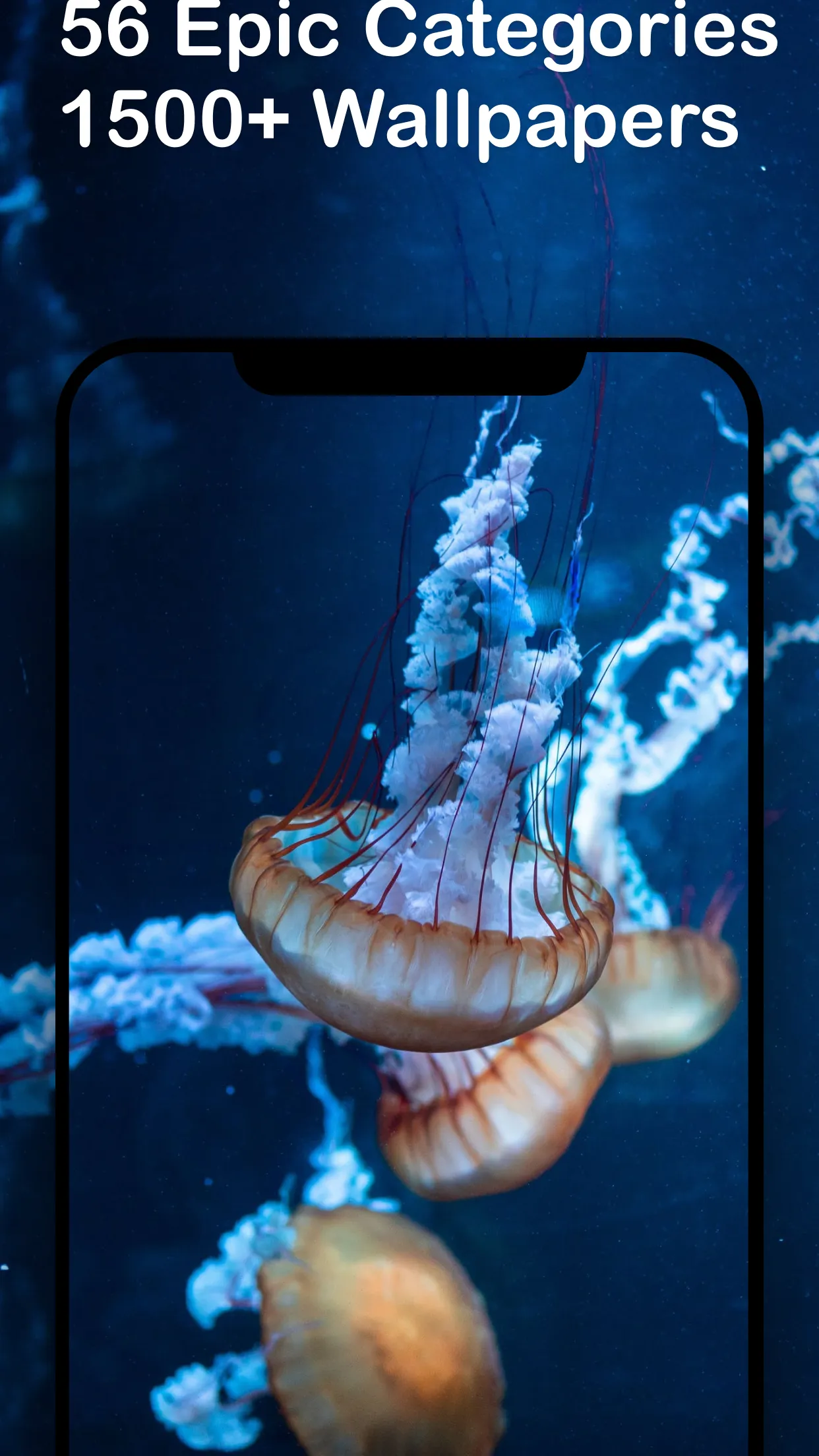 2021 Wallpaper & Widget | Indus Appstore | Screenshot