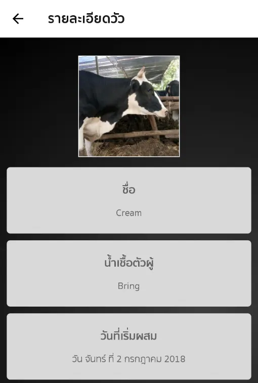 คนเลี้ยงวัว | Indus Appstore | Screenshot