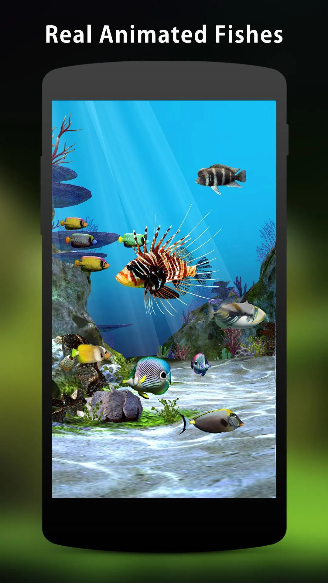 3D Aquarium Live Wallpaper HD | Indus Appstore | Screenshot