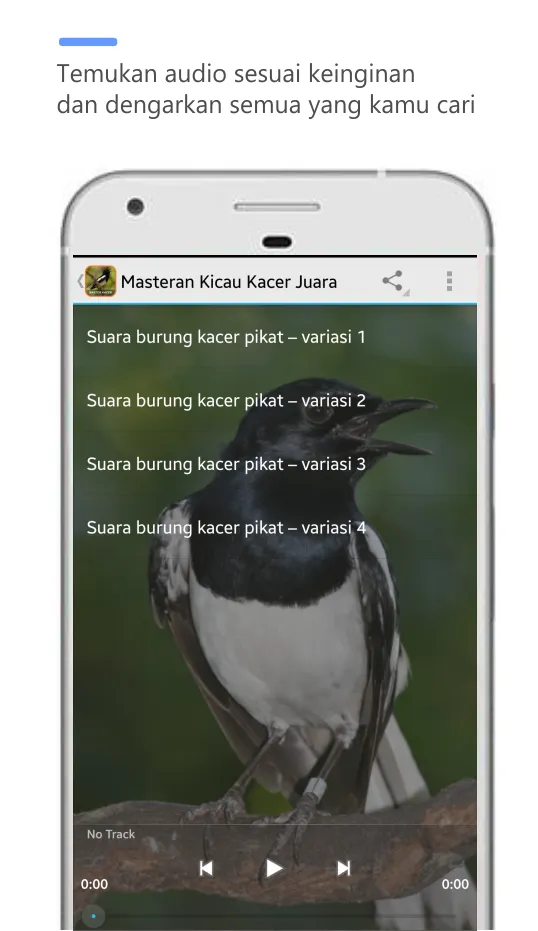 masteran kacer juara full isi | Indus Appstore | Screenshot