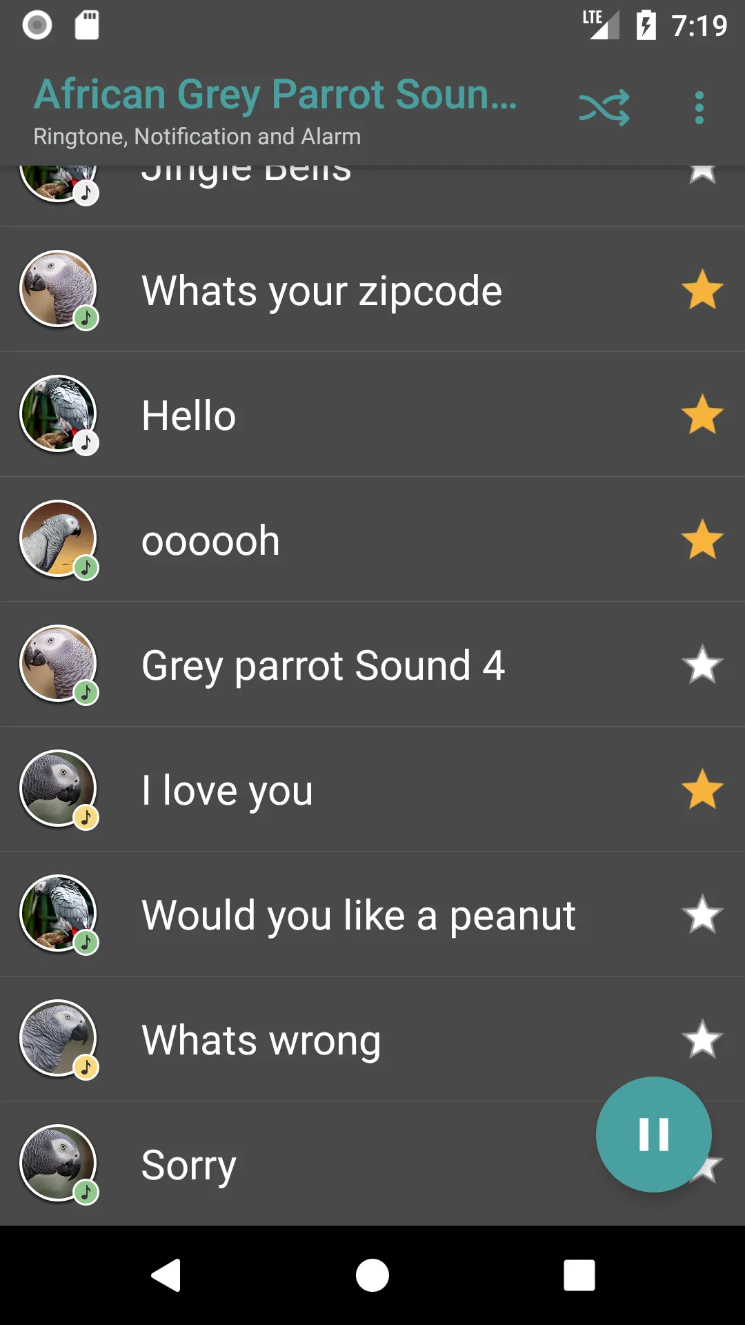 African Grey Parrot Sounds | Indus Appstore | Screenshot