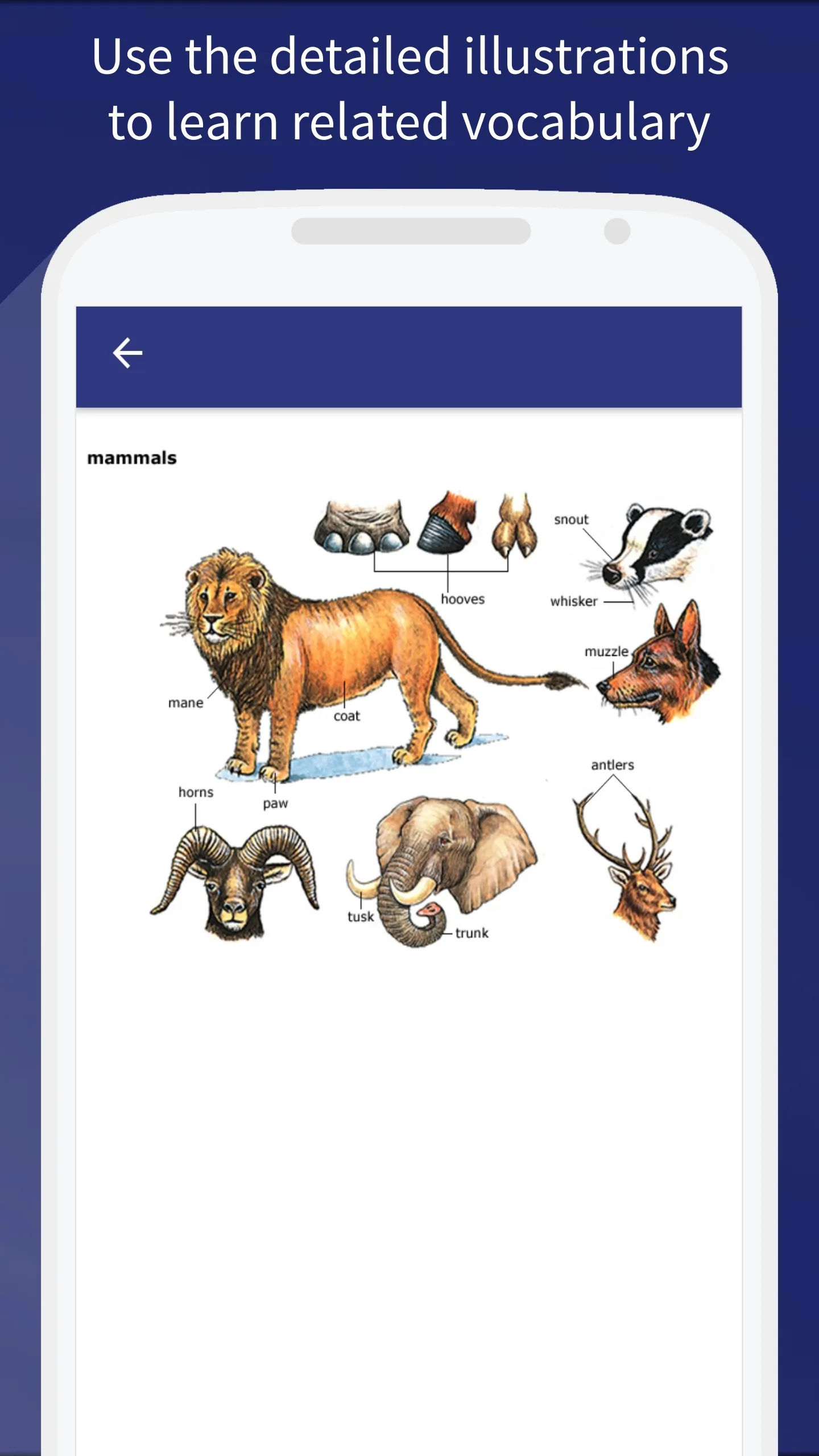 Dizionario Oxford Study | Indus Appstore | Screenshot