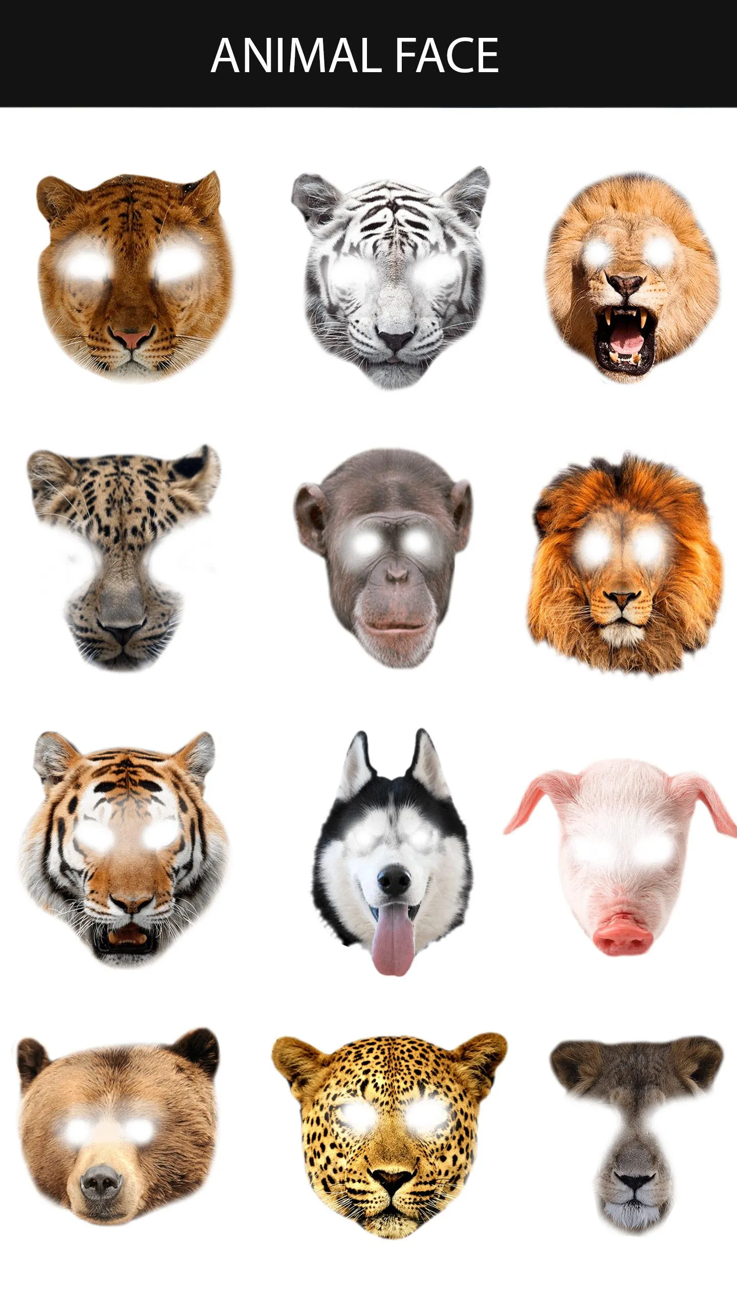 Animal Face Maker App | Indus Appstore | Screenshot