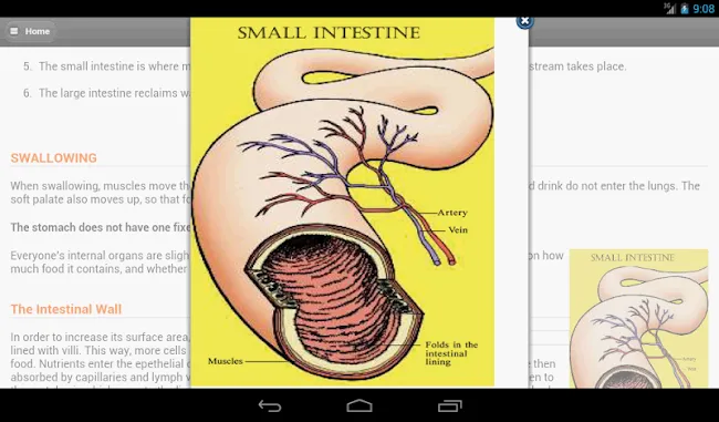 Human Body System | Indus Appstore | Screenshot