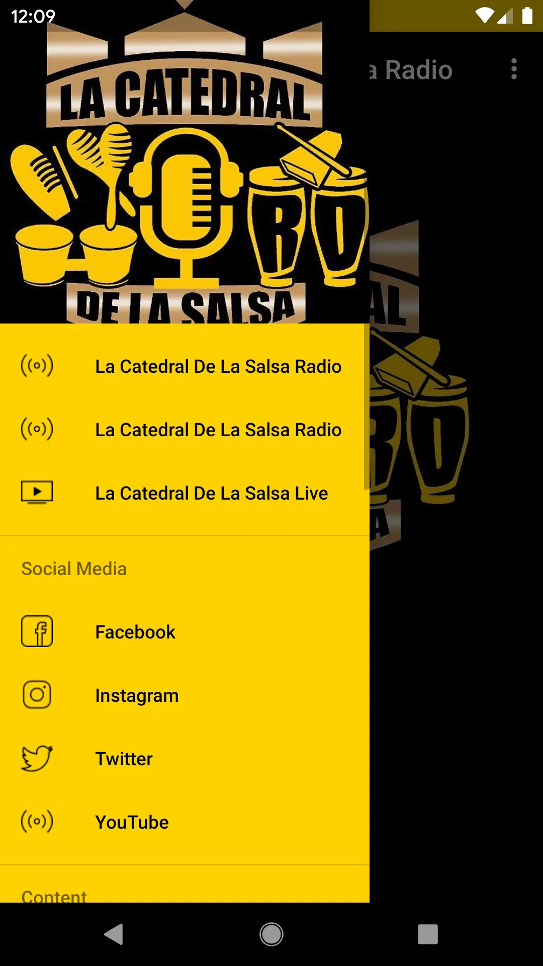 La Catedral De La Salsa Radio | Indus Appstore | Screenshot