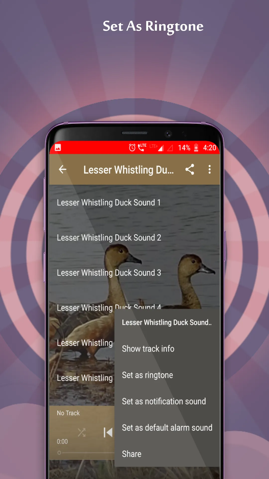 Lesser Whistling Duck Sounds | Indus Appstore | Screenshot