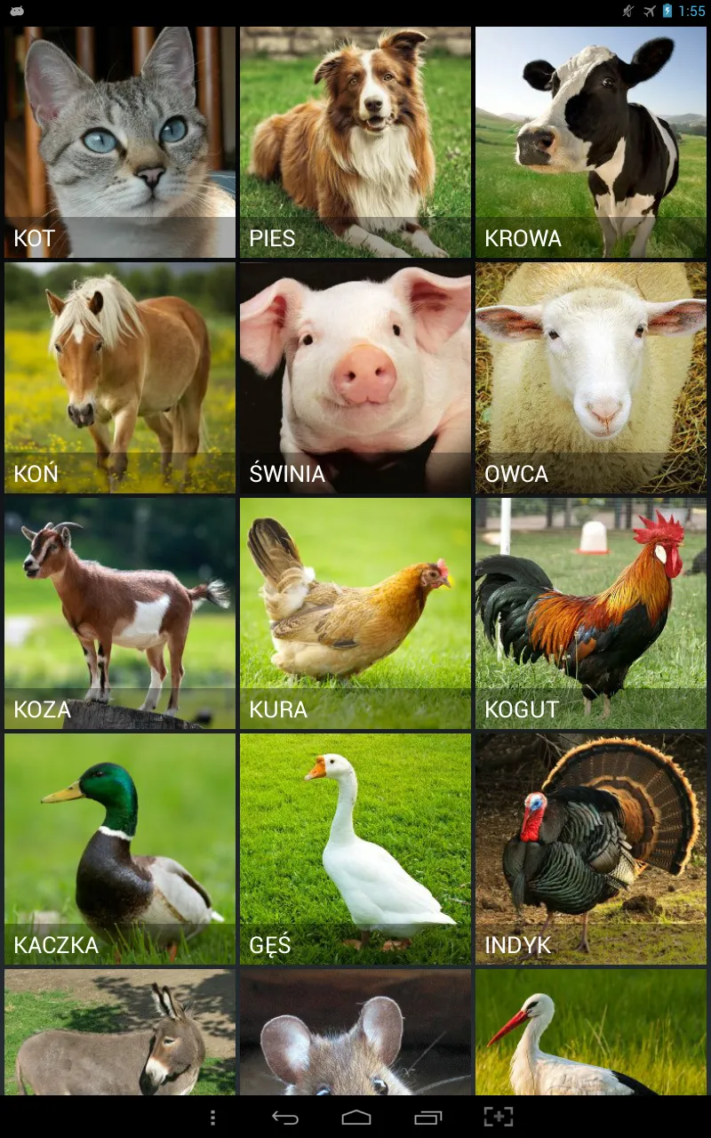 Farm Animals | Indus Appstore | Screenshot