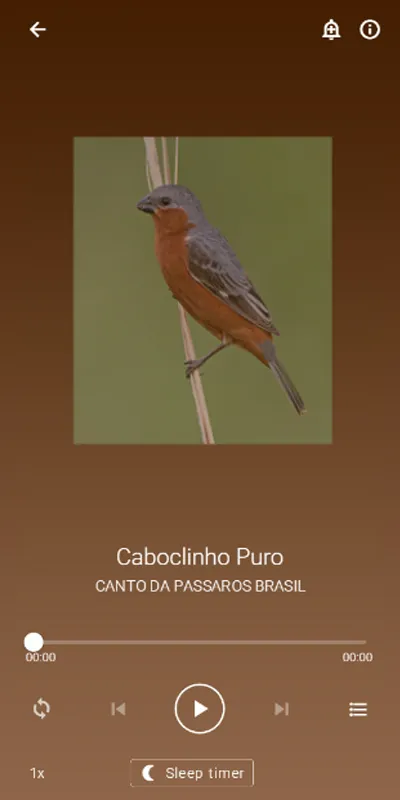 Canto Caboclinho | Indus Appstore | Screenshot