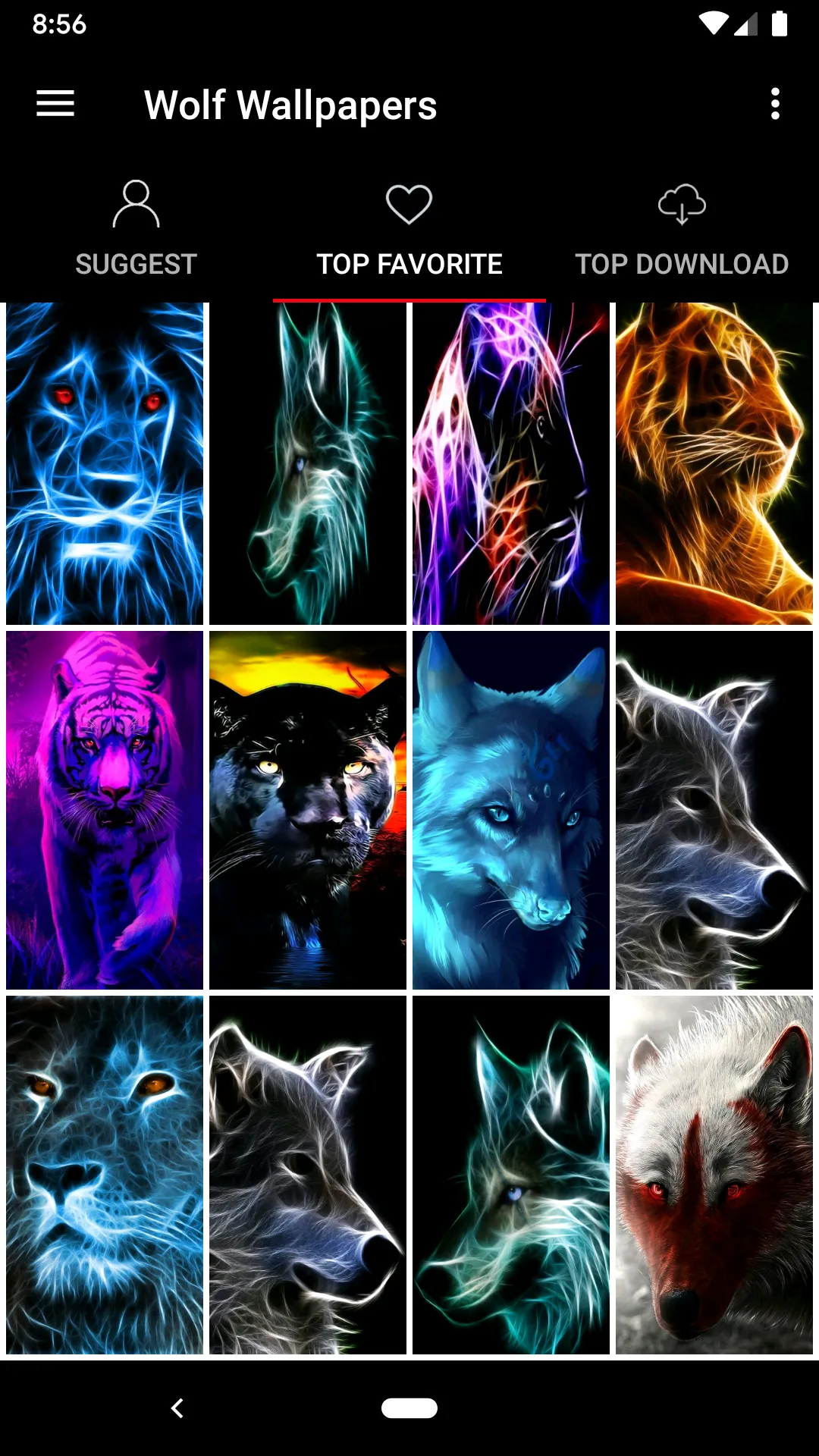 Wolf Wallpapers Offline | Indus Appstore | Screenshot