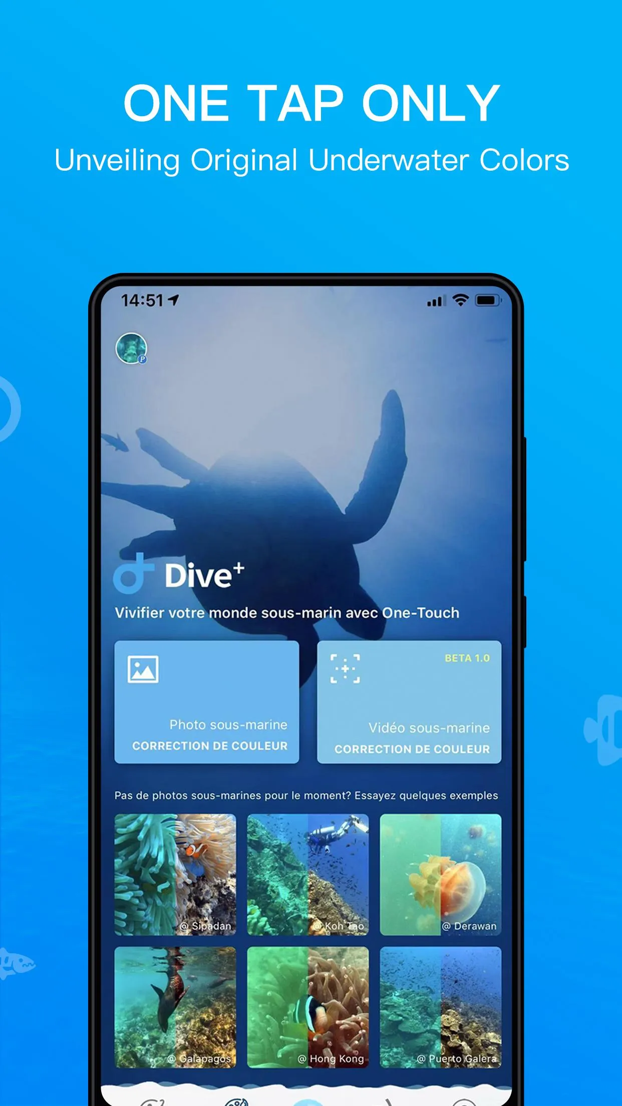 Dive+ : Diving Community | Indus Appstore | Screenshot