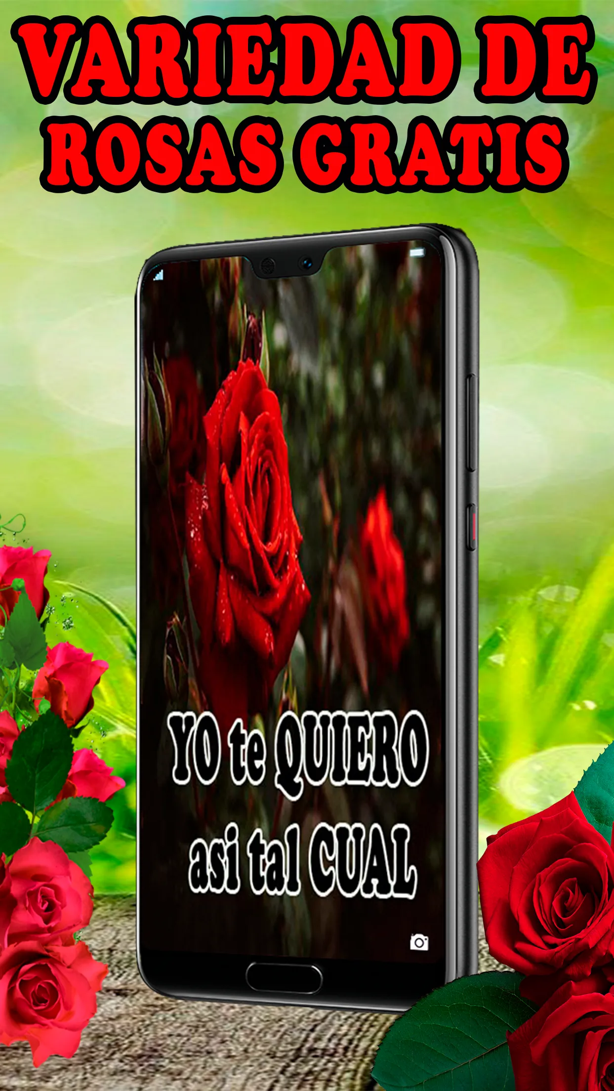 Rosas Rojas Hermosas Flores | Indus Appstore | Screenshot