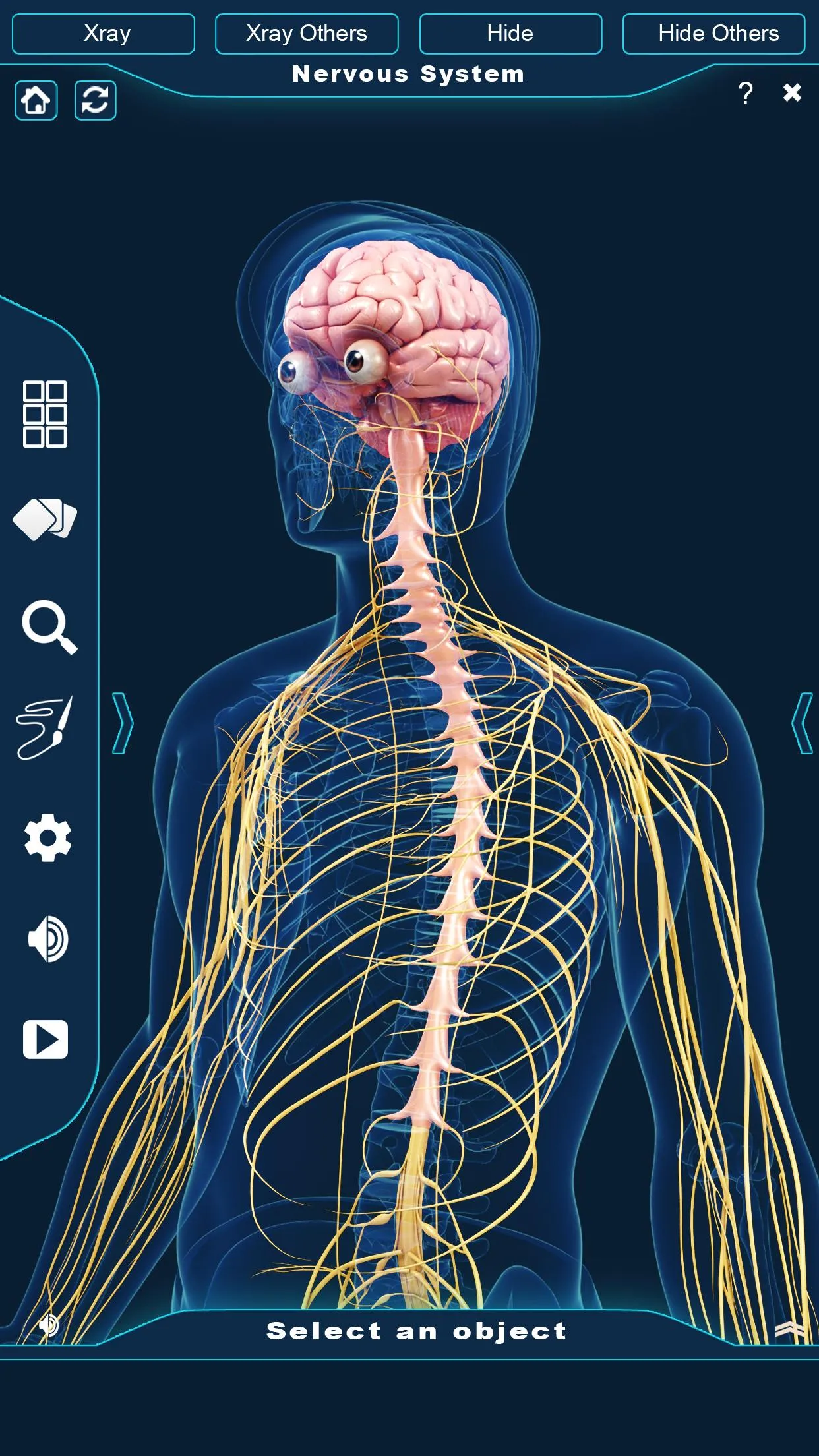 Nervous System Anatomy Pro. | Indus Appstore | Screenshot