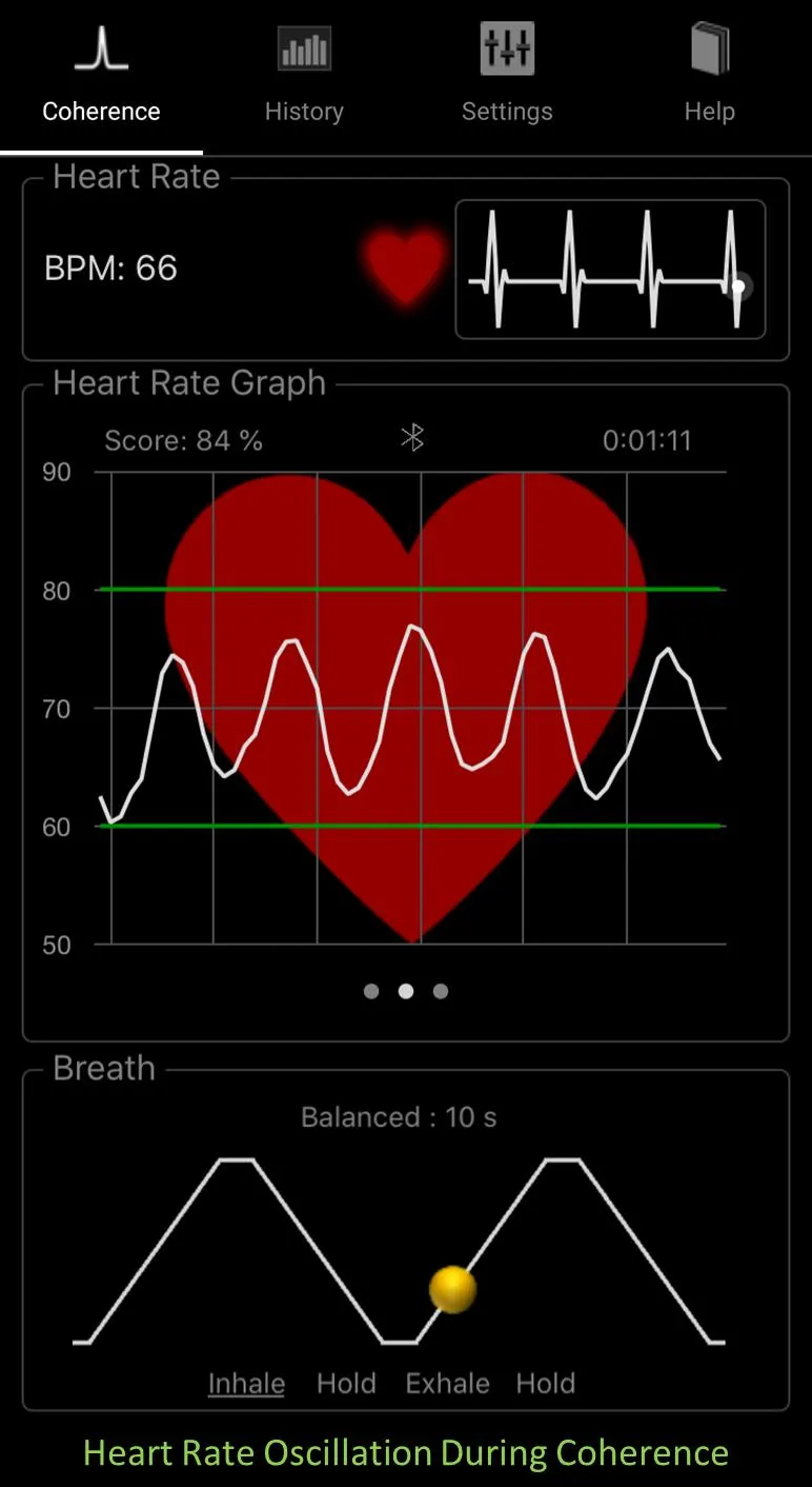 HeartRate+ Coherence PRO | Indus Appstore | Screenshot