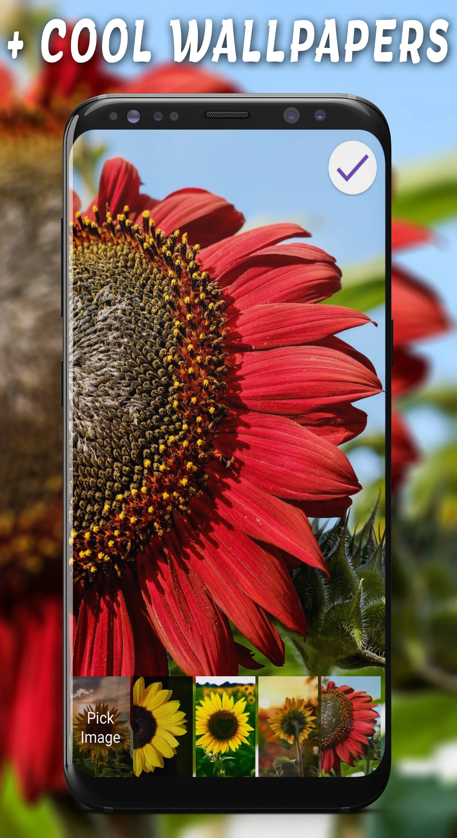 Sunflower Passcode Lock Screen | Indus Appstore | Screenshot