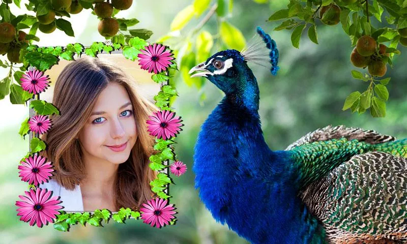 Peacock Photo Frames | Indus Appstore | Screenshot