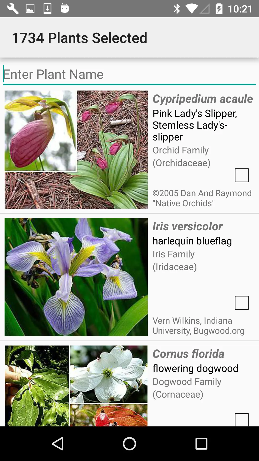 New England Wildflowers | Indus Appstore | Screenshot