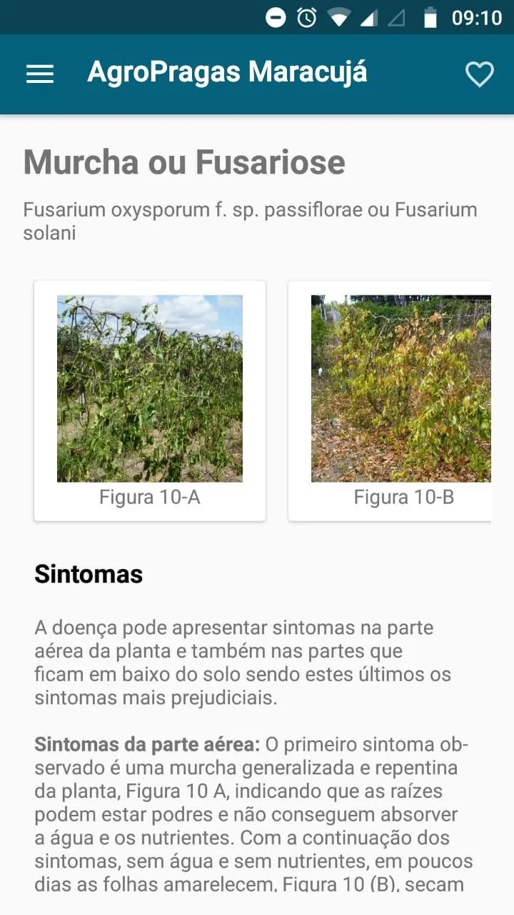 AgroPragas Maracujá | Indus Appstore | Screenshot