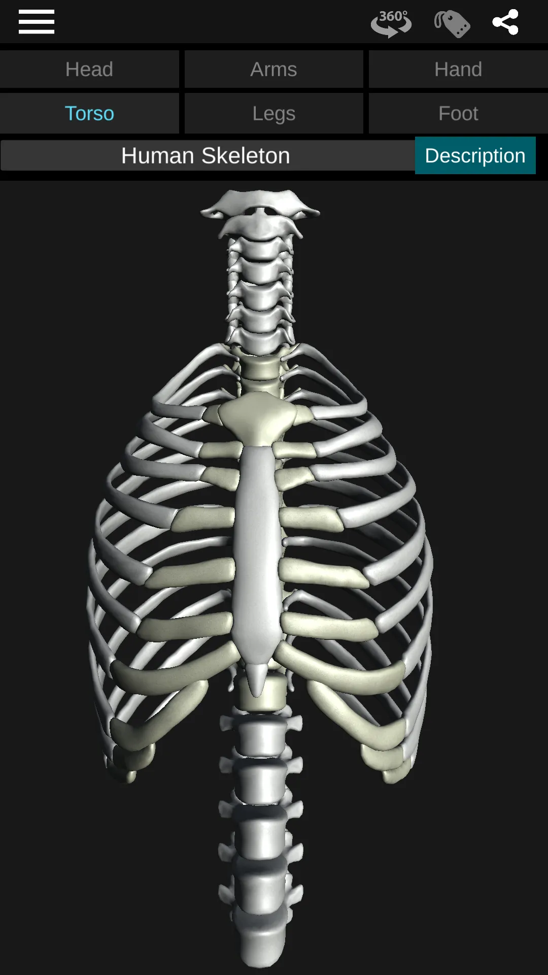 Osseous System in 3D (Anatomy) | Indus Appstore | Screenshot