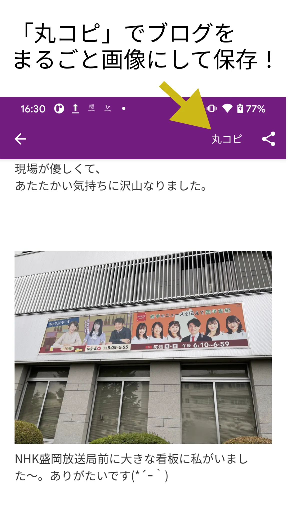 NogiHouse for Nogizaka46 乃木坂46 | Indus Appstore | Screenshot