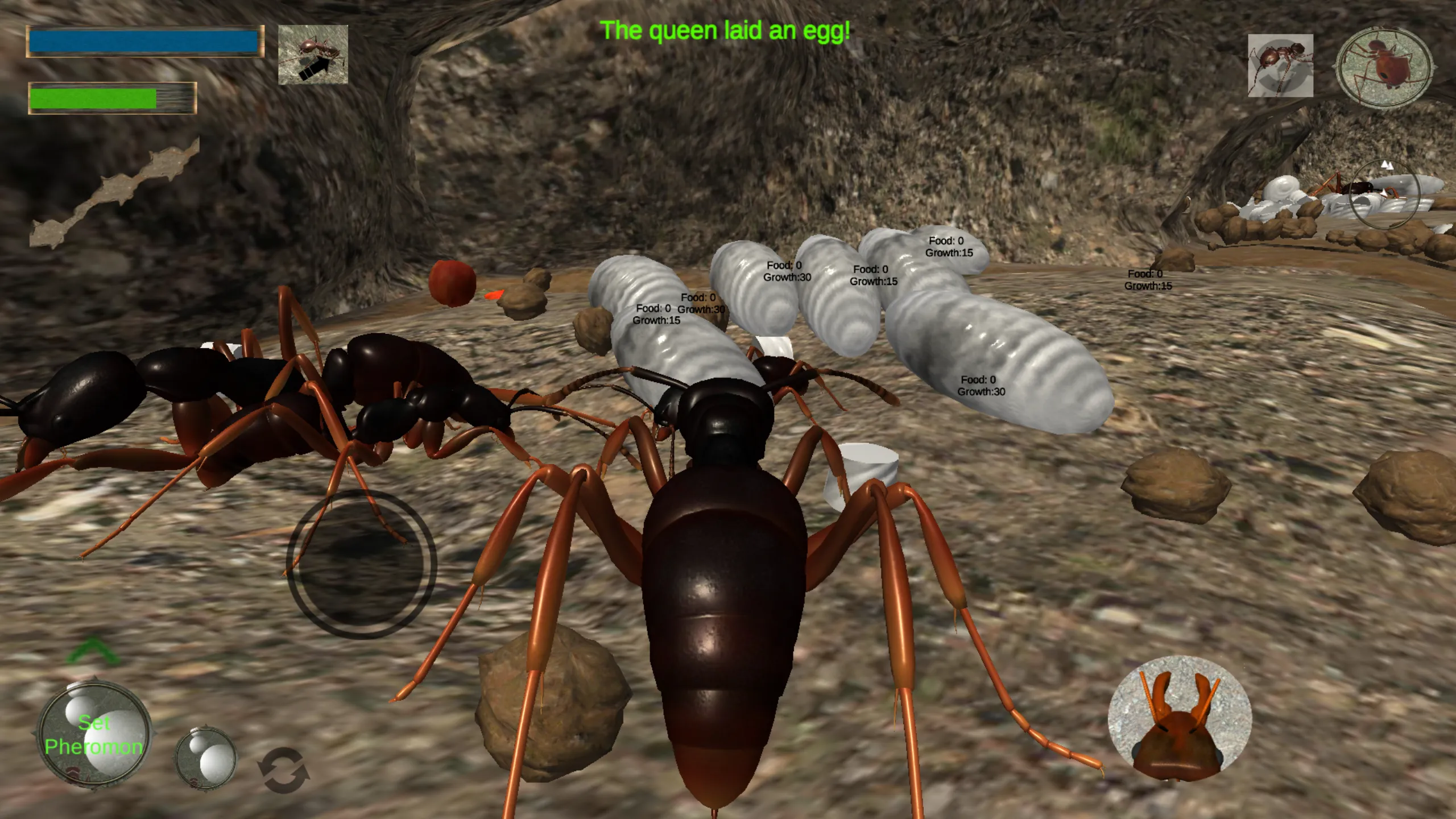 Ant Simulation 3D - Insect Sur | Indus Appstore | Screenshot