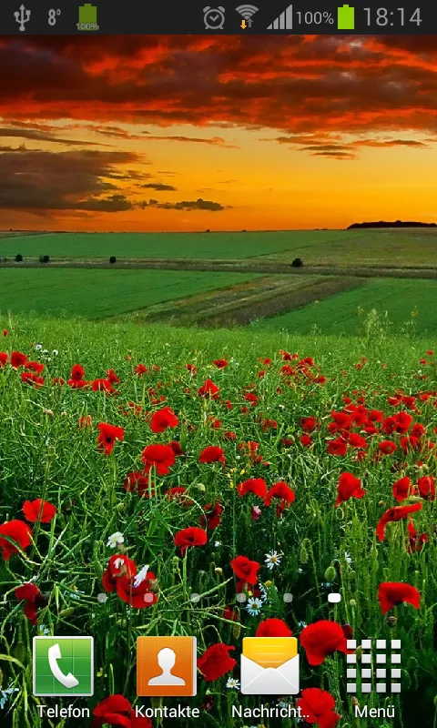 Poppies live wallpaper | Indus Appstore | Screenshot