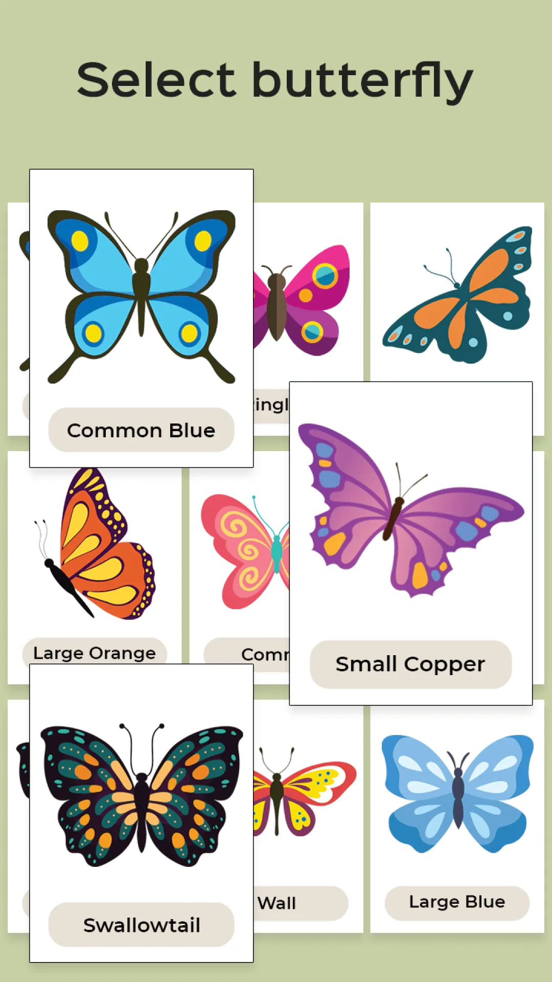 Butterfly Draw Step by Step | Indus Appstore | Screenshot