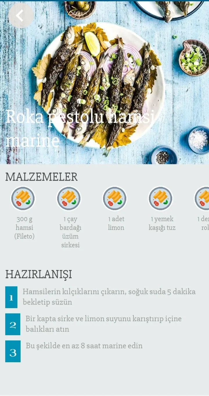 Balık Tarifleri | Indus Appstore | Screenshot