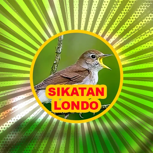 Kicau Burung: Sikatan Londo | Indus Appstore | Screenshot