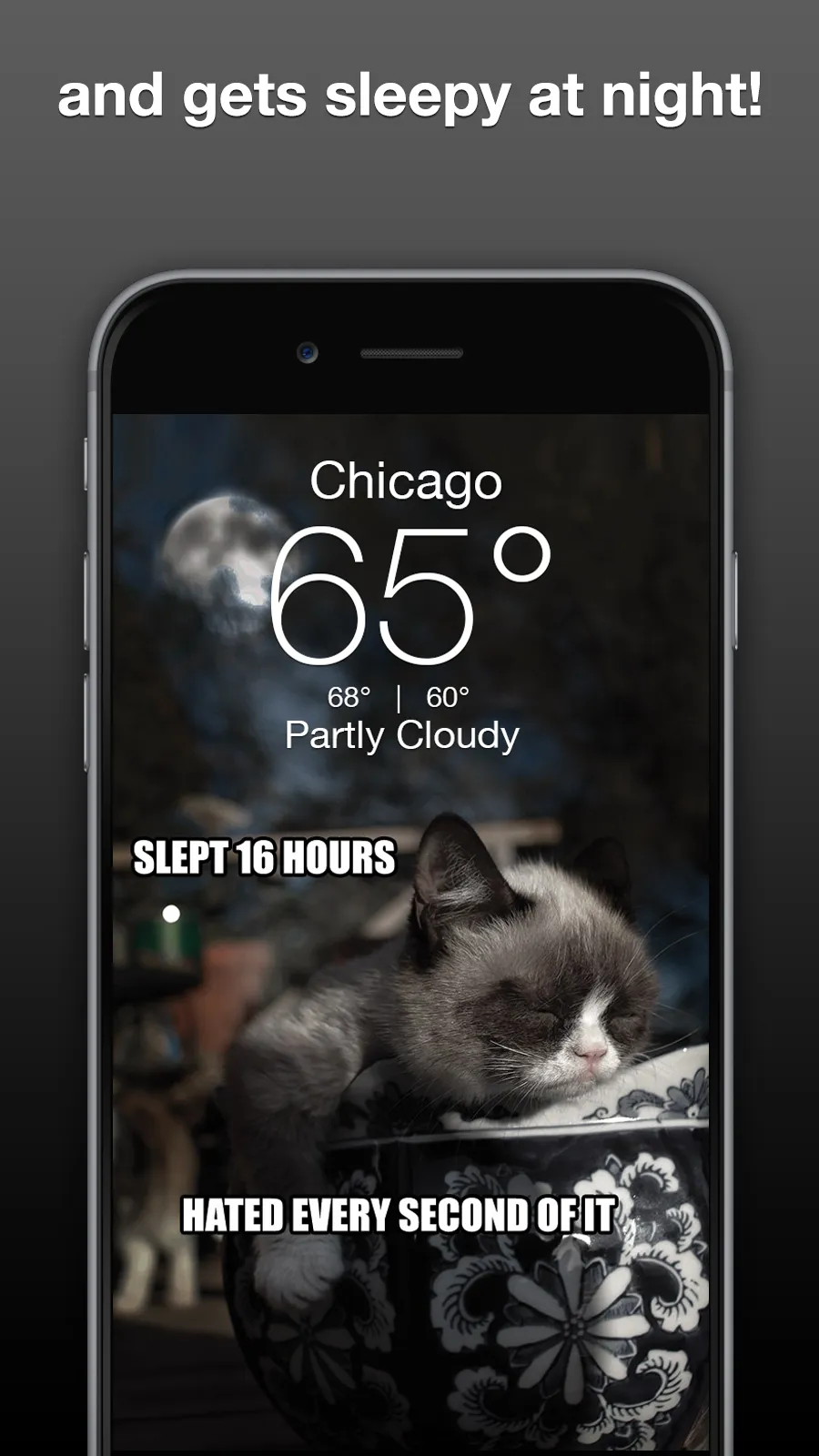 Grumpy Cat Weather | Indus Appstore | Screenshot