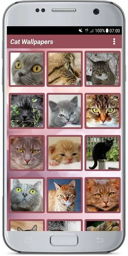 CUTE CAT WALLPAPERS | Indus Appstore | Screenshot