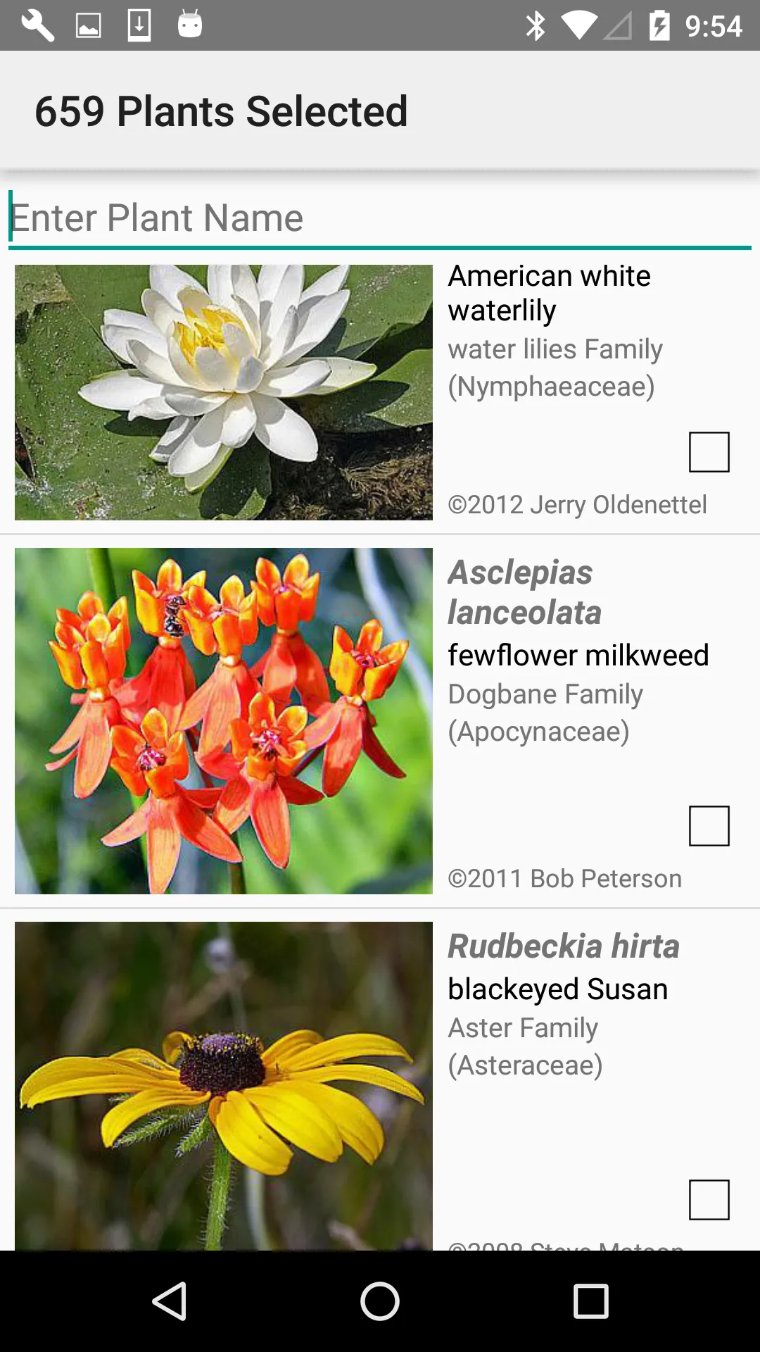 Mississippi Wildflowers | Indus Appstore | Screenshot