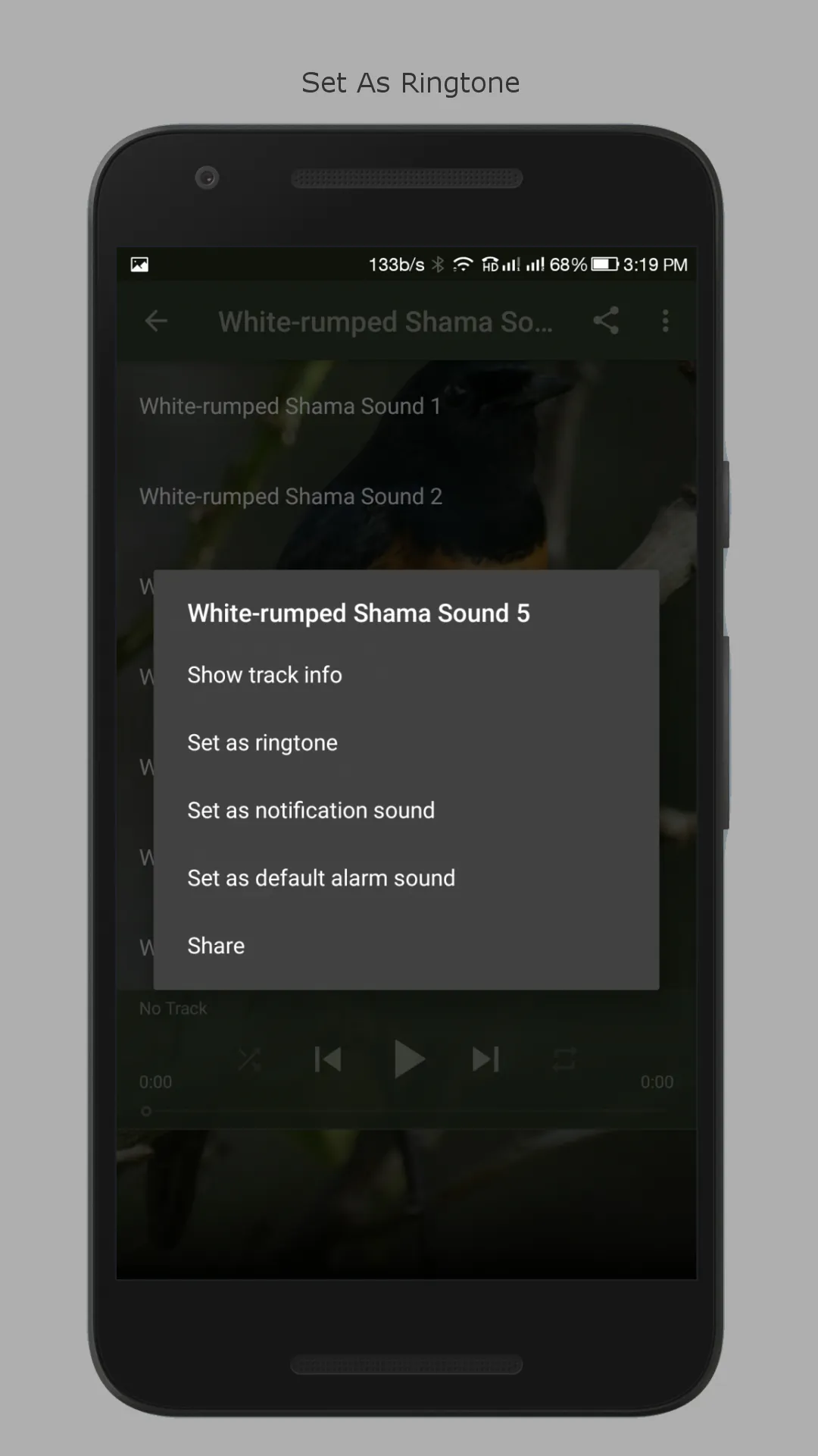 White-rumped Shama Sounds | Indus Appstore | Screenshot