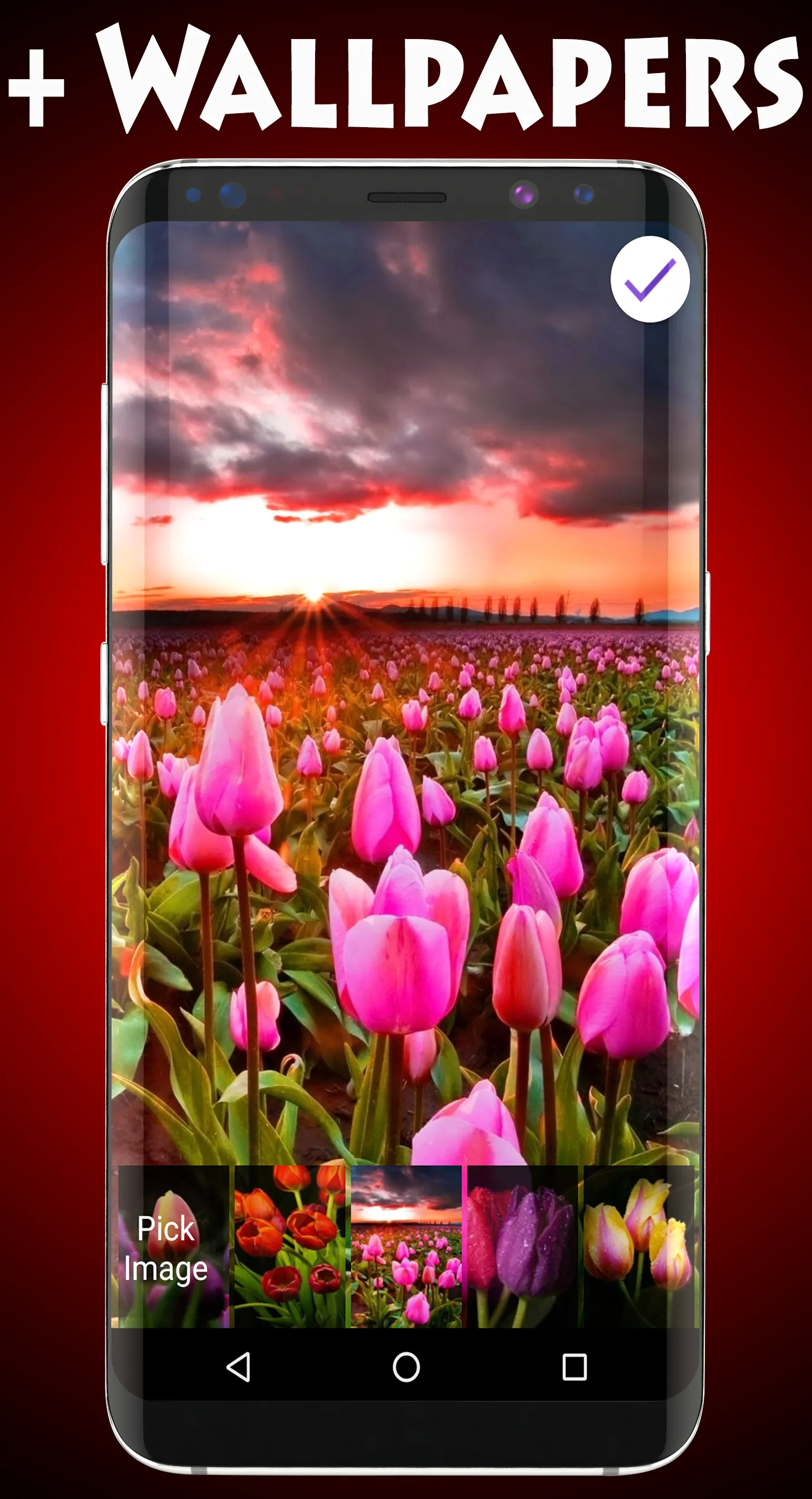 Tulips Lock Screen | Indus Appstore | Screenshot