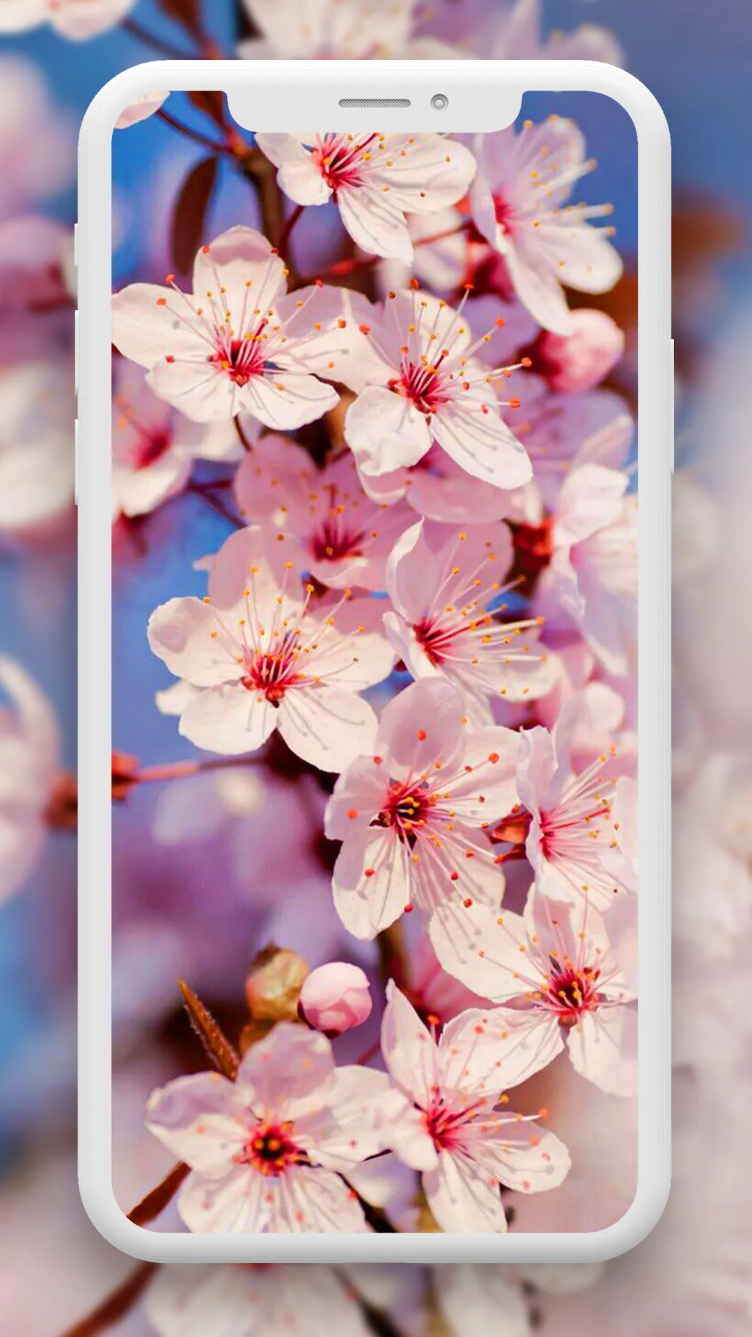 Flower Wallpaper HD – 4k | Indus Appstore | Screenshot