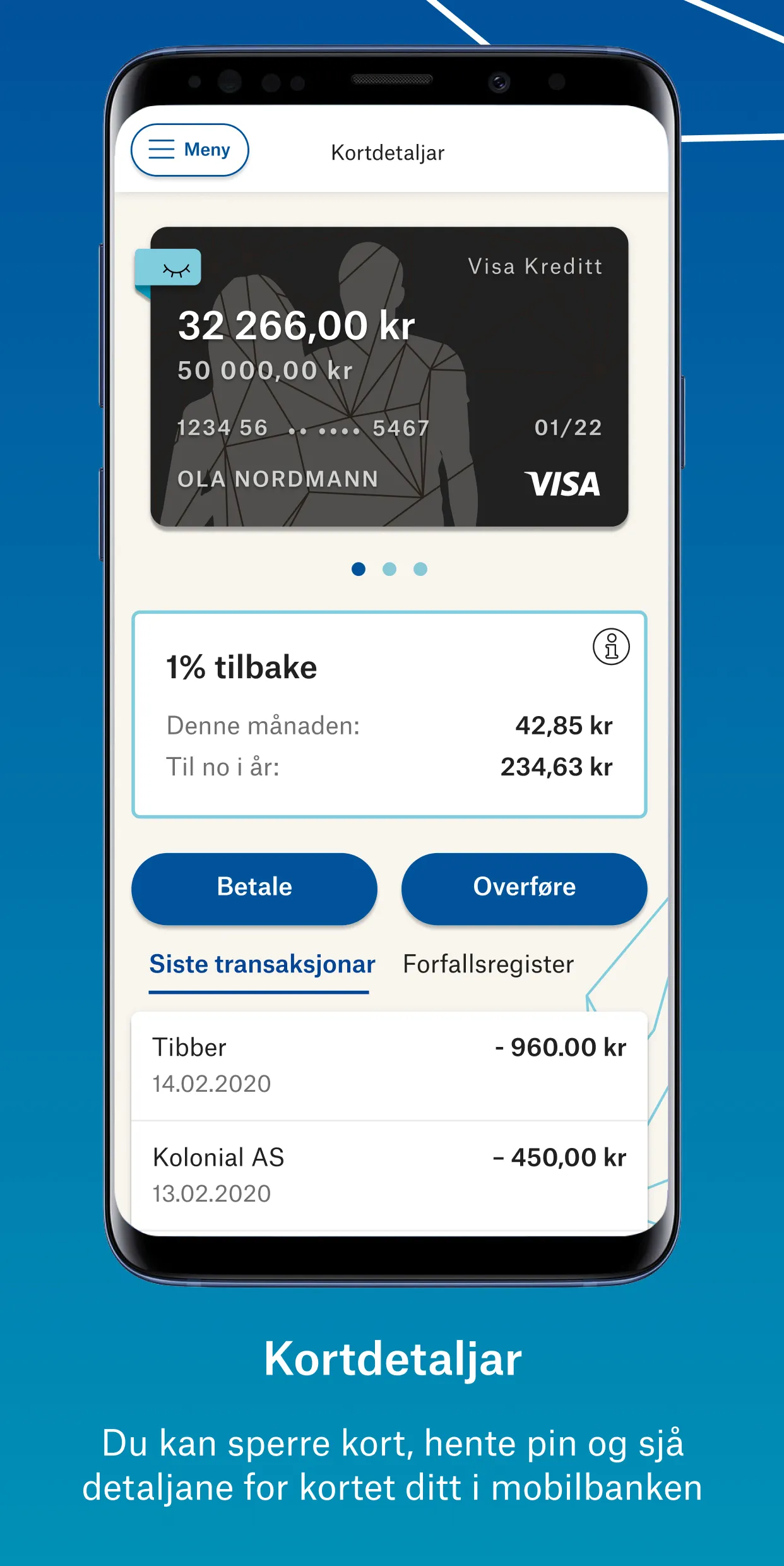 Onlinebank SSF | Indus Appstore | Screenshot