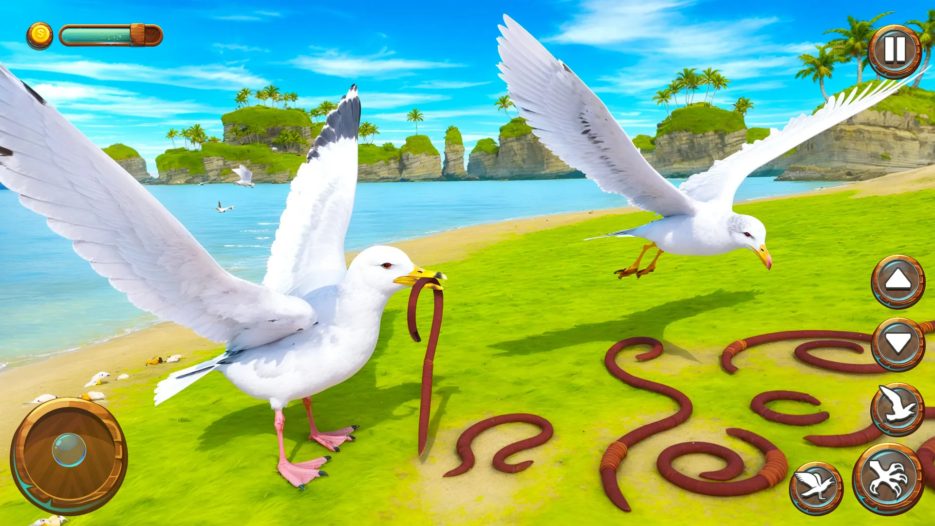 Seagull Bird Life Simulator | Indus Appstore | Screenshot