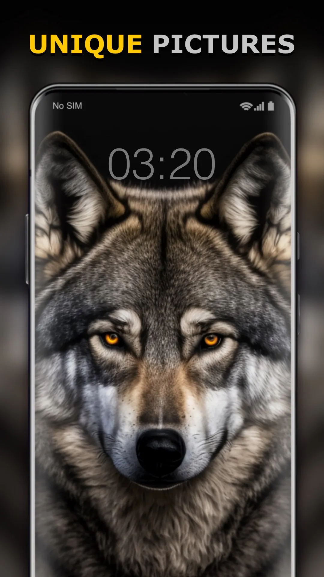 Wolf Wallpaper HD: Backgrounds | Indus Appstore | Screenshot