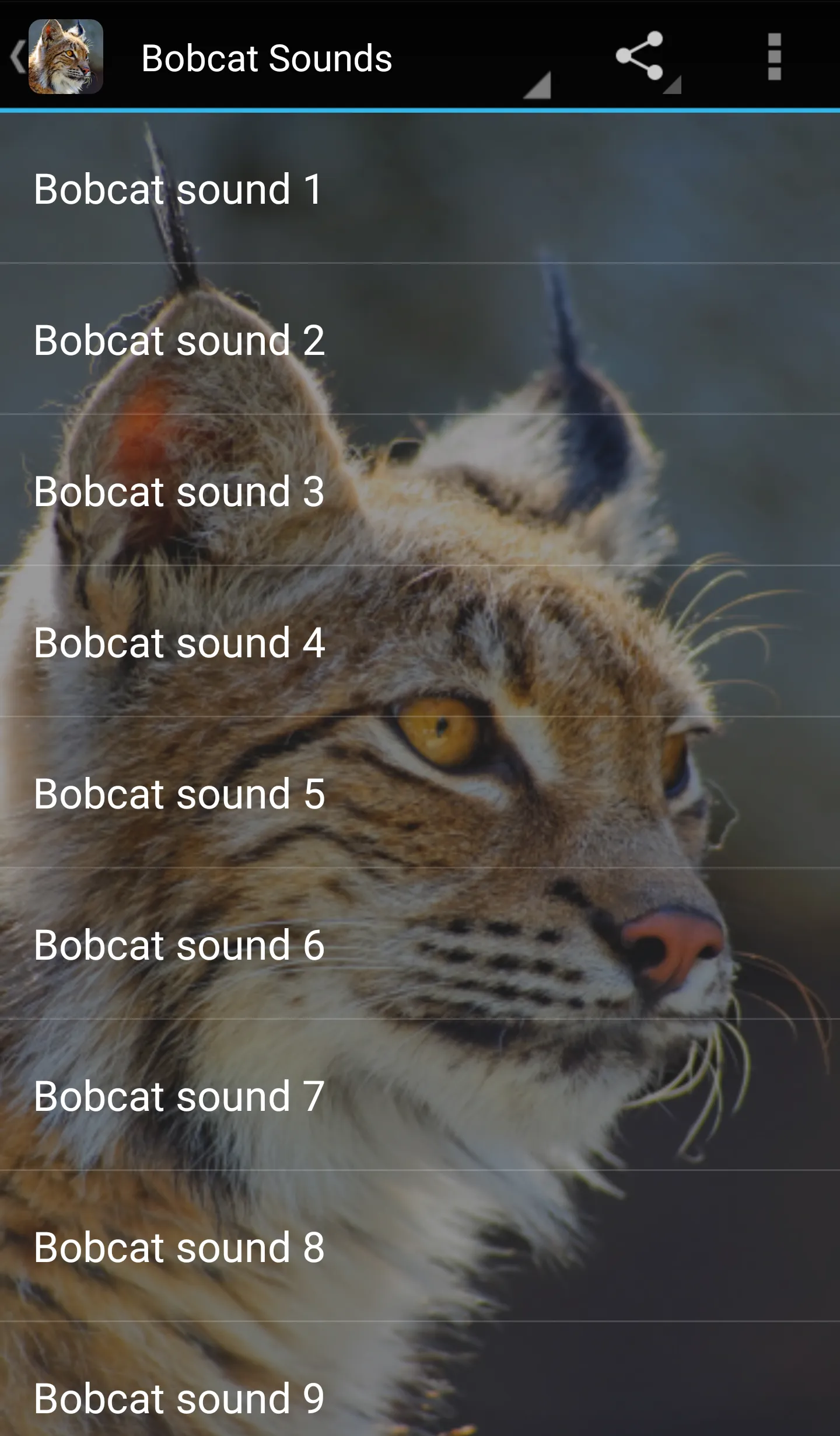 Bobcat Sounds | Indus Appstore | Screenshot