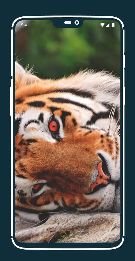 Tiger Wallpapers | Indus Appstore | Screenshot