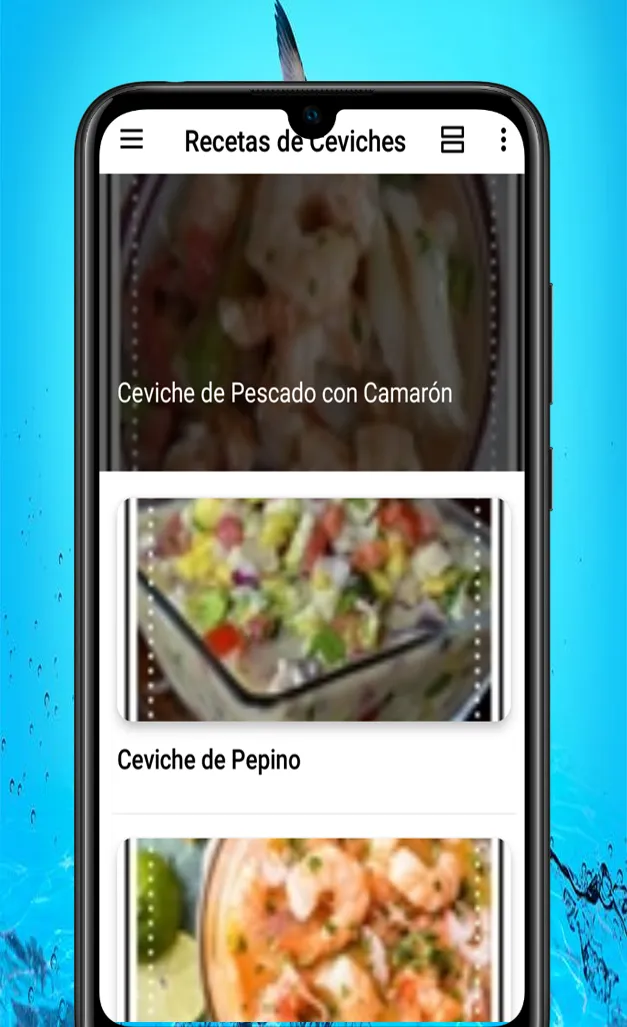 Recetas de Ceviches | Indus Appstore | Screenshot