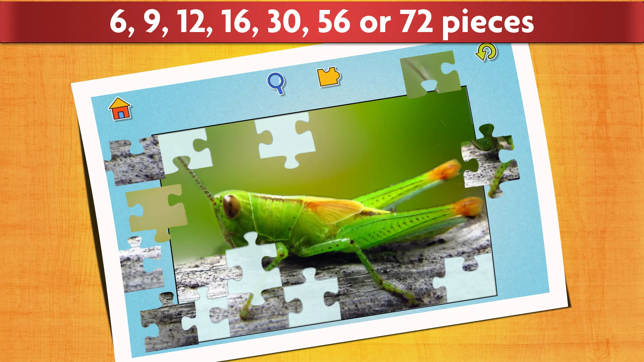 Insect Jigsaw Puzzle Game Kids | Indus Appstore | Screenshot