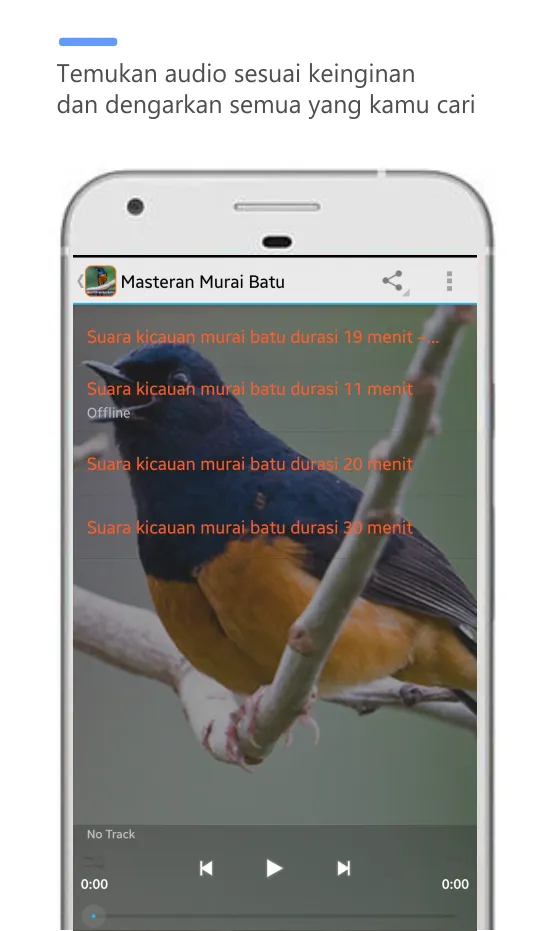 Masteran Murai Batu full isian | Indus Appstore | Screenshot