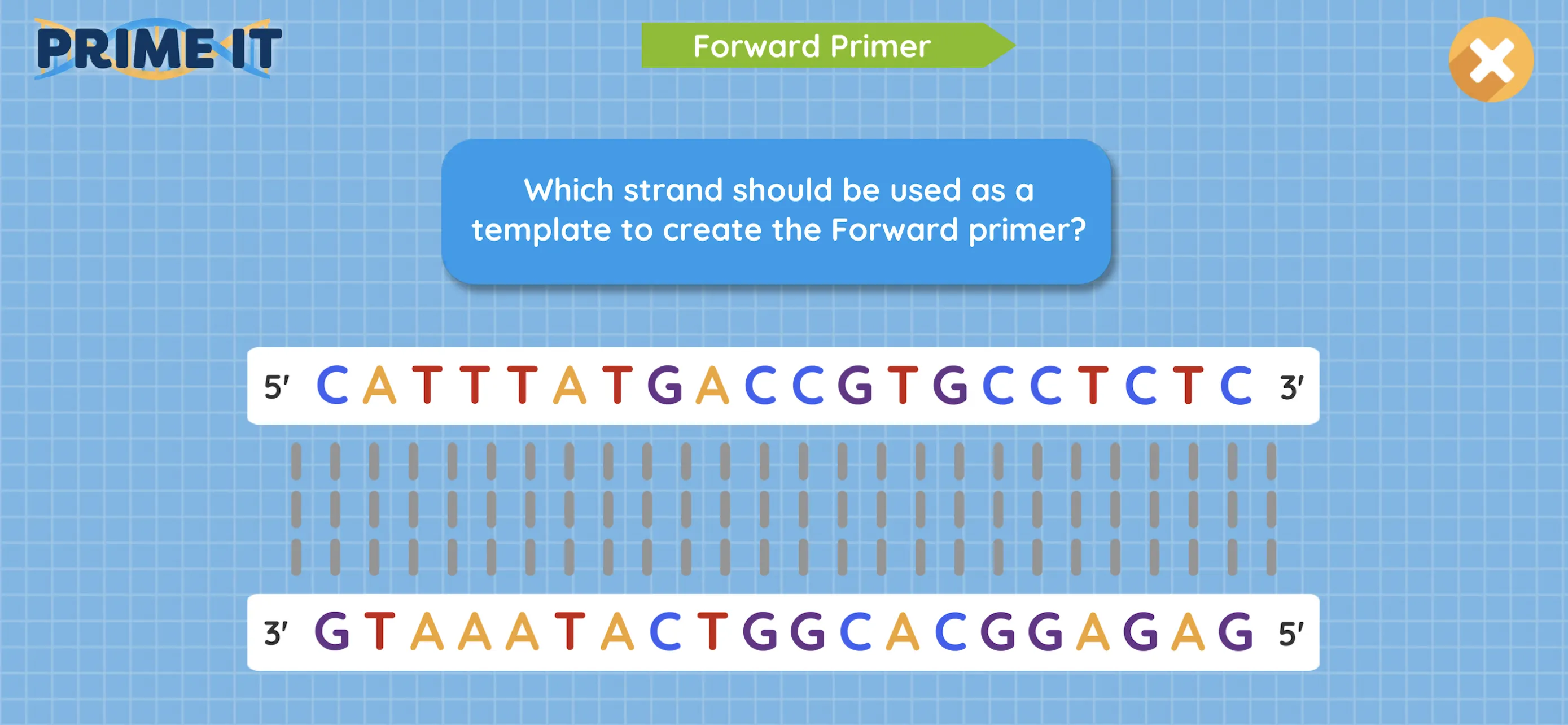 Prime It DNA Game | Indus Appstore | Screenshot