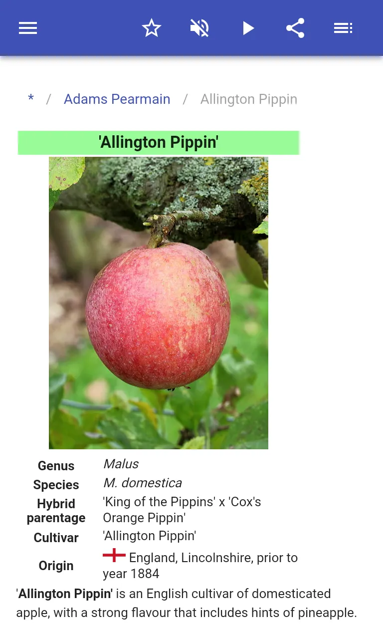 Varieties of apples | Indus Appstore | Screenshot