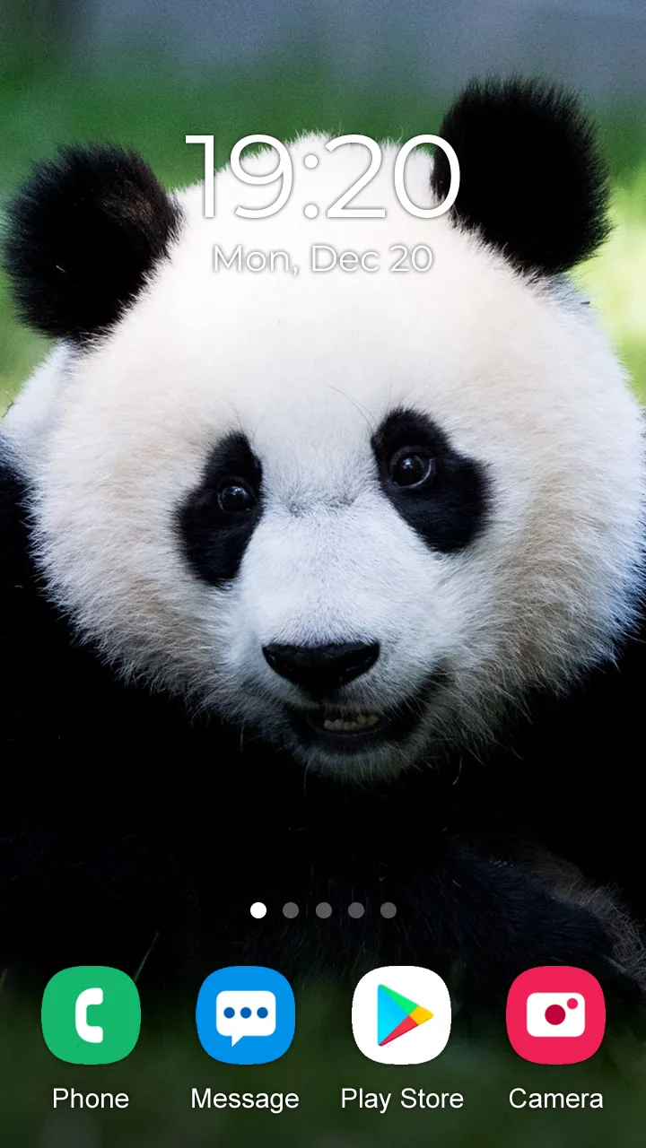 Animal Wallpaper 2023 | Indus Appstore | Screenshot