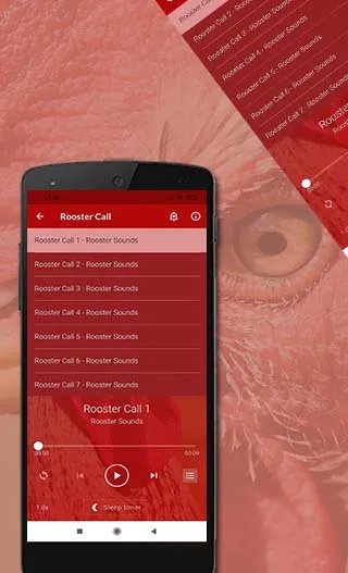 Rooster Sounds | Indus Appstore | Screenshot