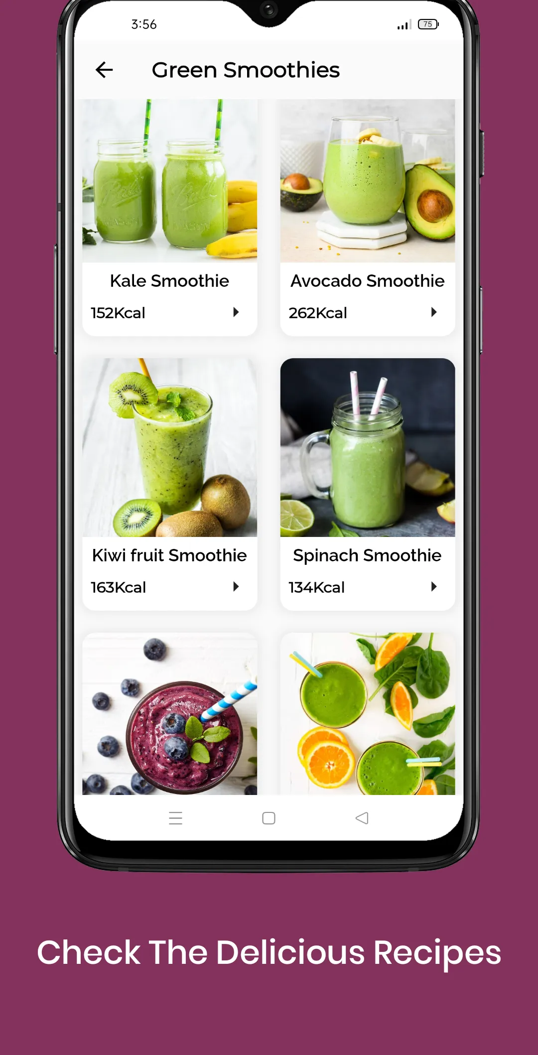 Smoothie Recipes (Offline) | Indus Appstore | Screenshot